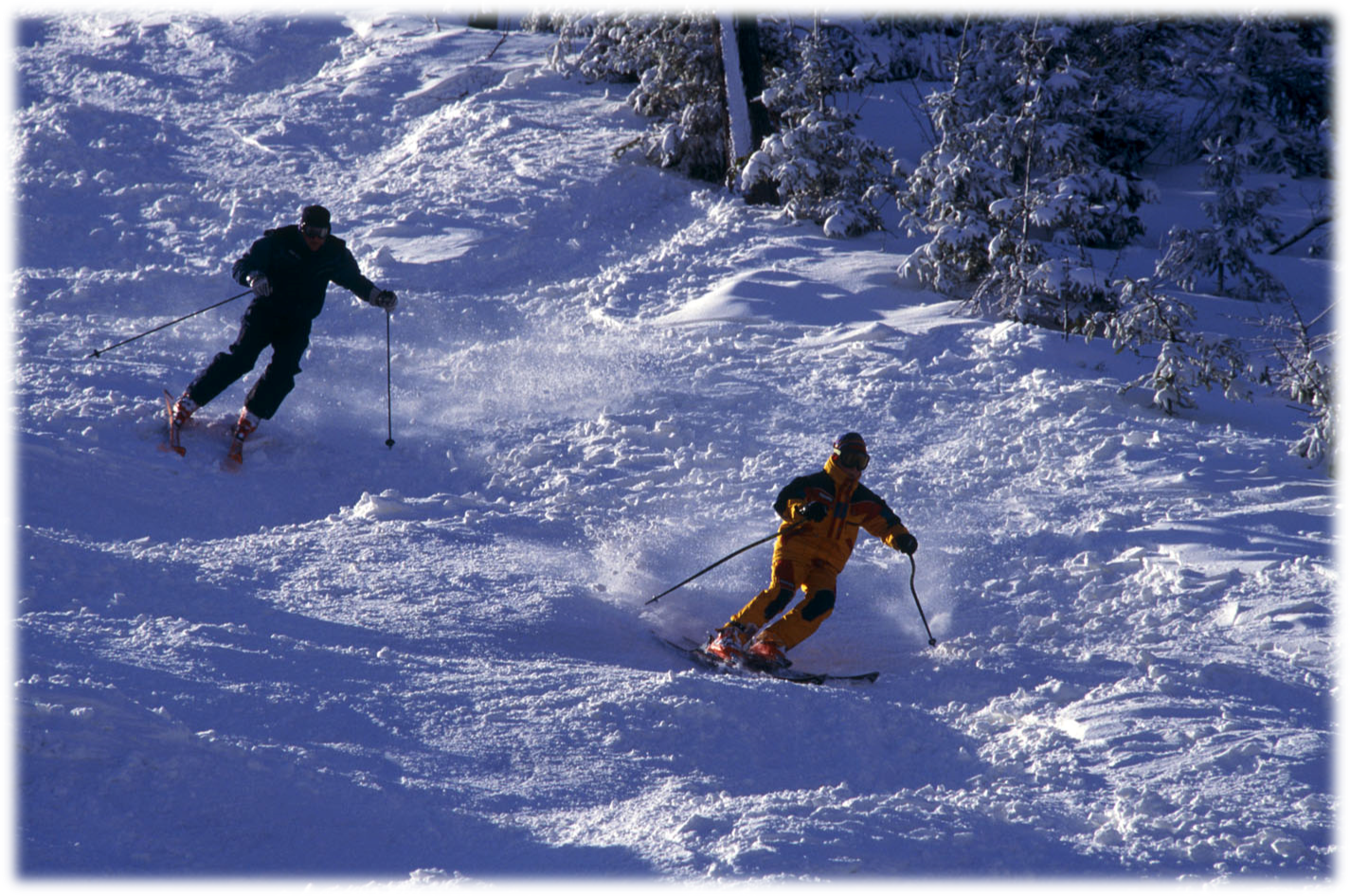 Link to Winter Sports & Rec - Skiers going down snowy mountain